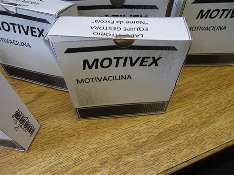 motivex kapsül